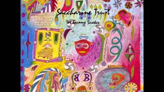 Saccharine Trust - Effort to Waste [&#39;We Became Snakes&#39; Version]