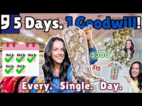 I Thrifted the SAME Goodwill 5 Days in a ROW… Look What I Found 👀