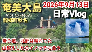 【奄美大島】(日常Vlog)ドライブ、イノッチに会う、用事の帰り道、山越えからの秋名、雨がコッチに来るのが見えました　2026年9月13日
