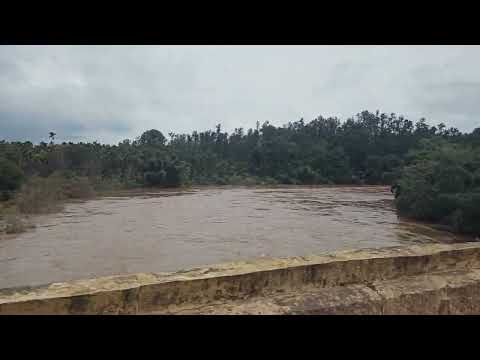 badra river 2024 Rian effect #balehonnur #badrarive /