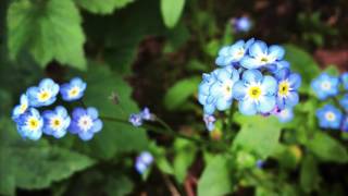 Voyous - Georgio (FG Fauve Kill&#39;d dirty edit)