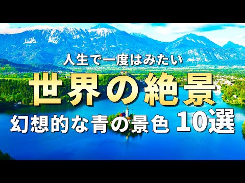 トンボの幻想的な旅
