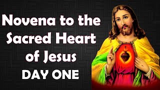 Novena to the Sacred Heart of Jesus – Day 1 | The Heart That Loves Us Beyond Measure