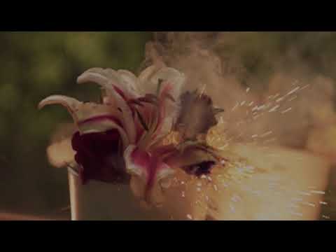 Video thumbnail for Dear Hate