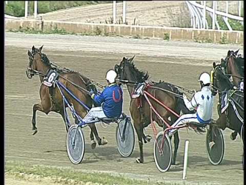 Trotto 21/04/2017 - 2ª corsa