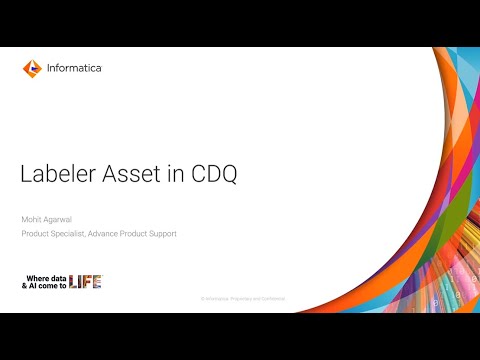 Labeler Asset in CDQ