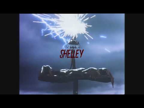 [FREE] Griselda X Benjamin Epps X JeanJass X Westside Gunn Type Beat - "Shelley" | Prod. Spooky Nerd