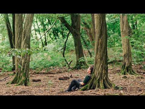 WaldResort am Nationalpark Hainich - Mehr als nur Urlaub
