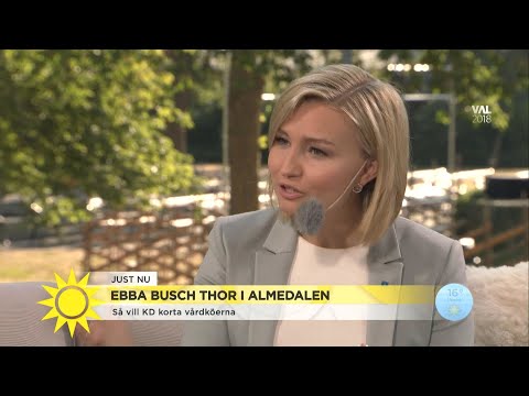 Därför vill KD att vårdpersonal ska jobba på sommaren: "patienter blir drabbade - Nyhetsmorgon (TV4)