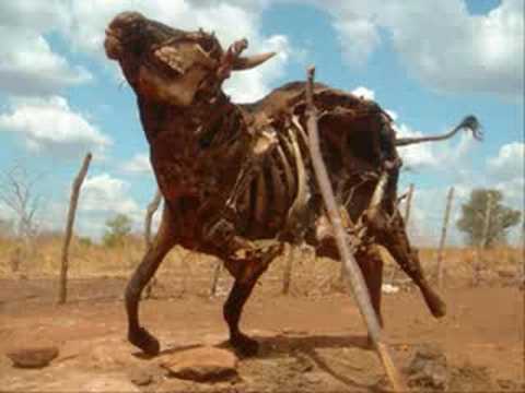 Brasil 500 anos - Gabriel O Pensador