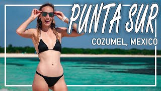 The BEST thing to do in Cozumel (Punta Sur Eco Beach Park)