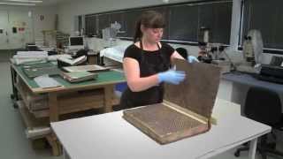 Brush vacuuming for archival collections
