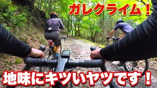 ダル過ぎて帰って昼寝しちゃったグラベルライド