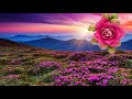 Good Morning Video