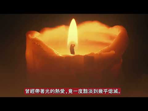 Stephanie Jin student video