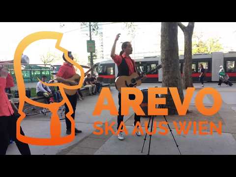 AREVO unplugged - Frog Mi Ned
