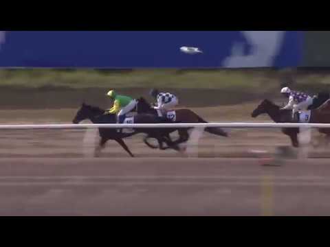 2019.07.14 Svenskt Derby - Red Cactus