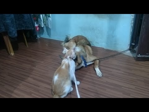 Language of Love: Angata's Summer Cool