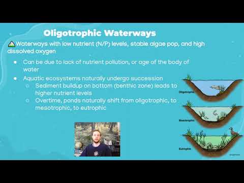 AP Environmental Science 8.5 - Eutrophication