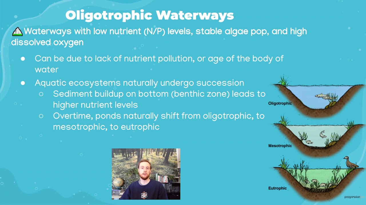AP Environmental Science 8.5 - Eutrophication