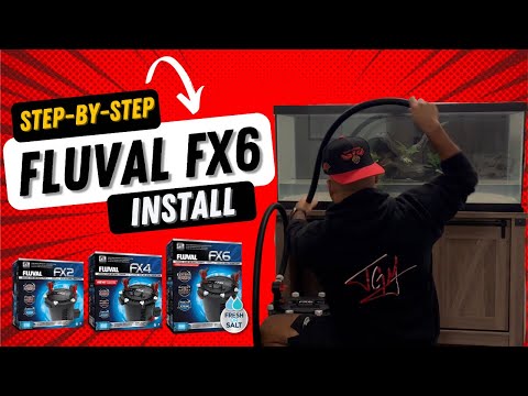 Fluval FX6 Set Up and Install Step By Step