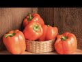 Video for Milena