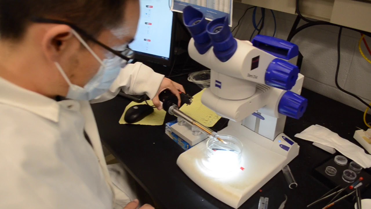 ARMS B203 - Transmission Electron Microscopy Lab