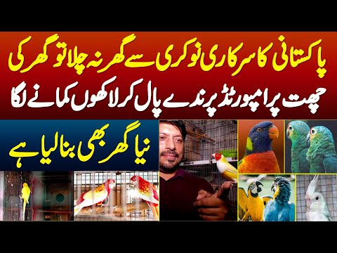 Government Job Se Ghar Na Chala Tu Naujawan Ghar Ki Chhat Pe Imported Birds Pal K Lakhon Kamane Laga