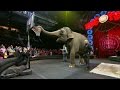 Ringling Bros Ends Circus As Ticket Sales Plunge