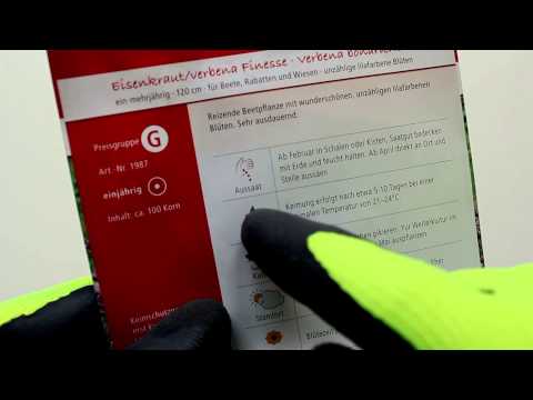 Eisenkraut - Verbena Finesse