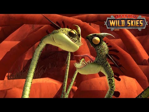 TAMING THE HIDEOUS ZIPPLEBACK | Dragons: Wild Skies 2022