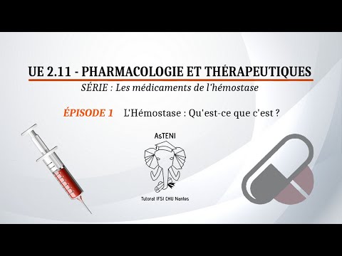 UE 2.11 S1 - Qu'est ce que l'hémostase ? (Épisode 1/3)