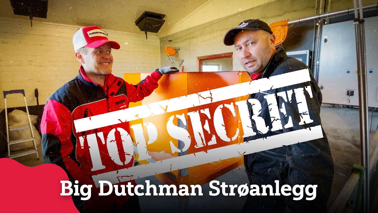 Automatisk tildeling av strø med Big Dutchman