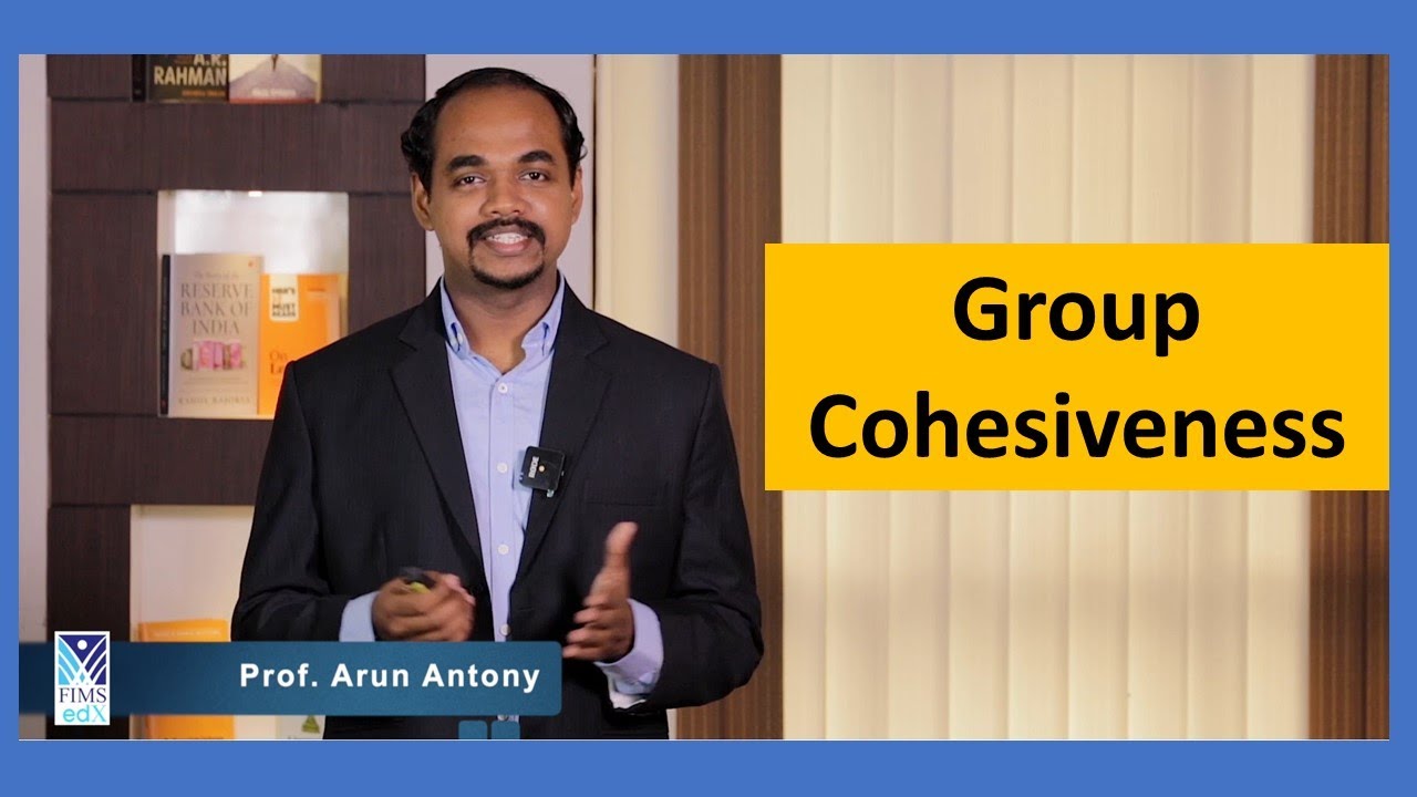 Group Cohesiveness |FIMSedX| MSO Course