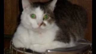 Siegfried Idyll on Banjo by Wild Bill Jones