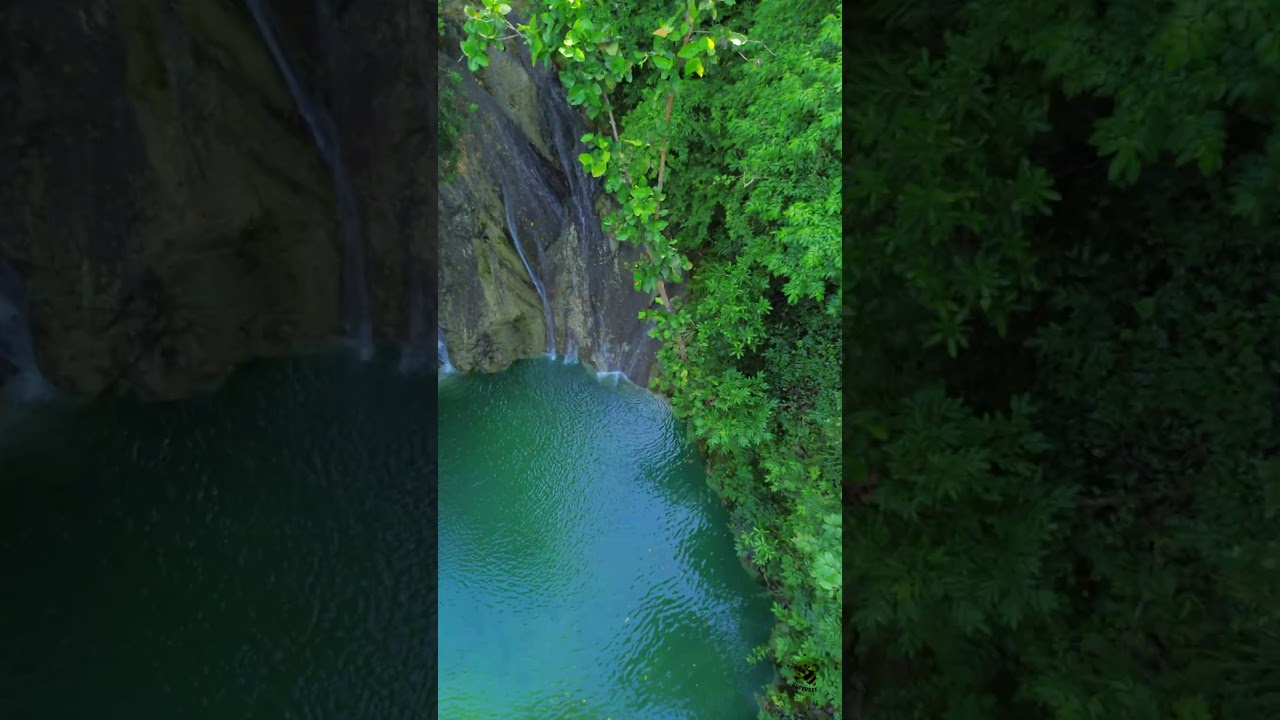 YouTube Short thumbnail