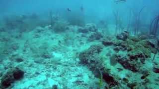 preview picture of video 'Scuba Diving, Redang Island, Malaysia 2015'