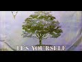 'It's Yourself' (Metaprogram Remix) ~ Genesis