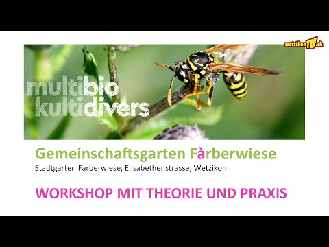 Workshop Färberwiese