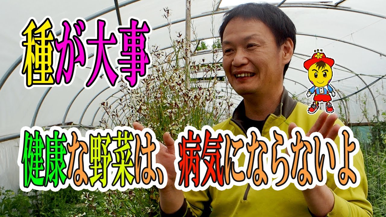 自家採種が栽培のカギを握る理由とポイント|自然栽培20年の実践から学ぶ種の力
