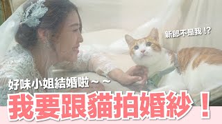 [心得] 好味小姐與貓的婚紗照