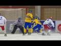 Sweden Grabs World Bandy Championship
