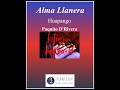Alma Llanera - big band