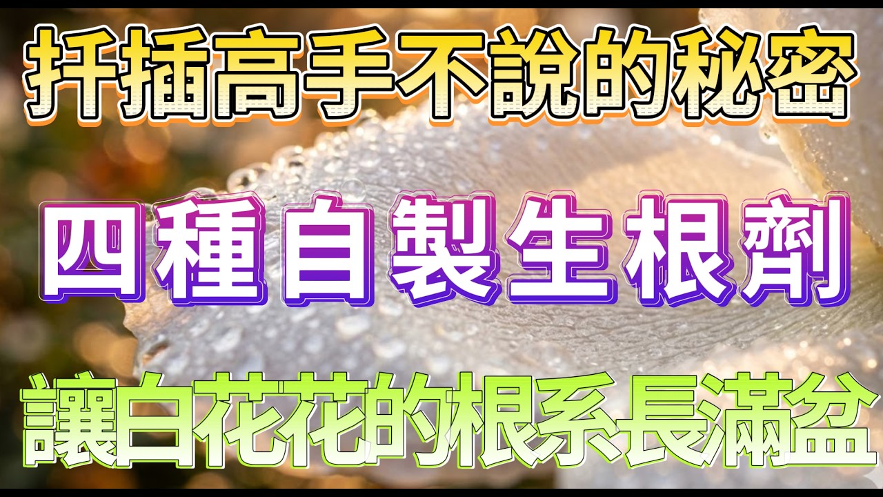 別再浪費錢買生根粉！廚房垃圾變身生根神水，扦插葉插隨便種隨便活！#園藝DIY #植物扦插 #生根神水
