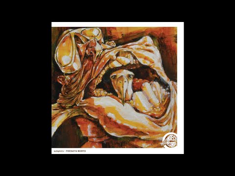 Audopilots - vertigo