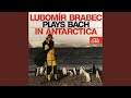 Lute Suite In E Minor - Courante by Johann Sebastian Bach