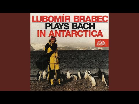 Lute Suite In E Minor - Courante