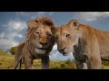 Mufasa The Lion King Scene Ending