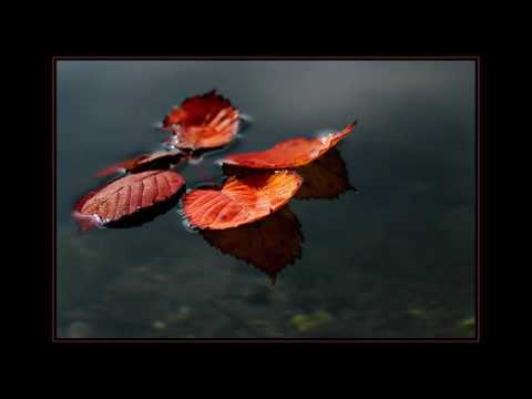 Beat Service feat  Ana Criado -  An Autumn Tale Al