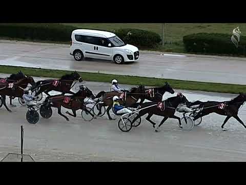 Aversa trotto 26 Febbraio 2022 - 2° Corsa